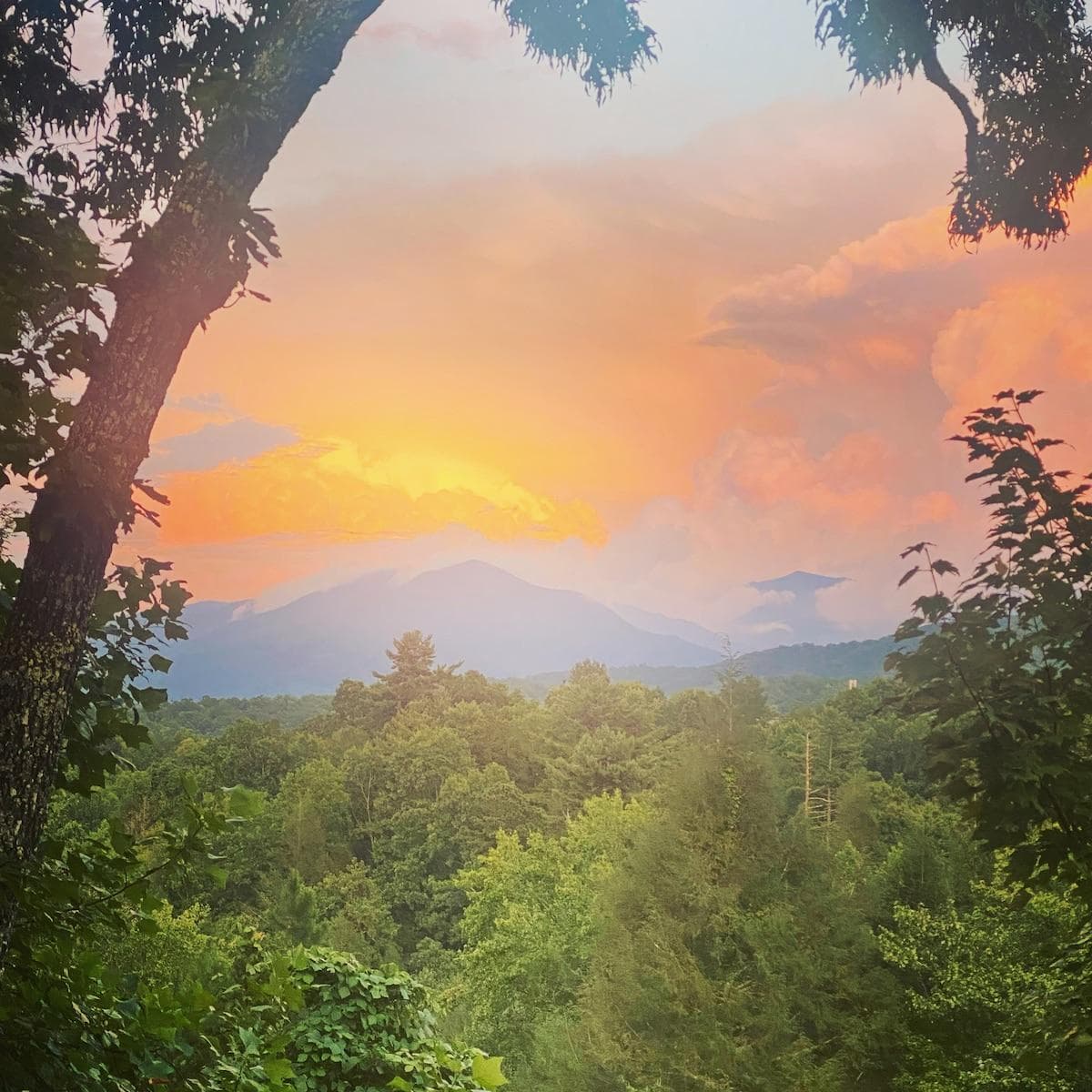 Main floor balcony sunsets.