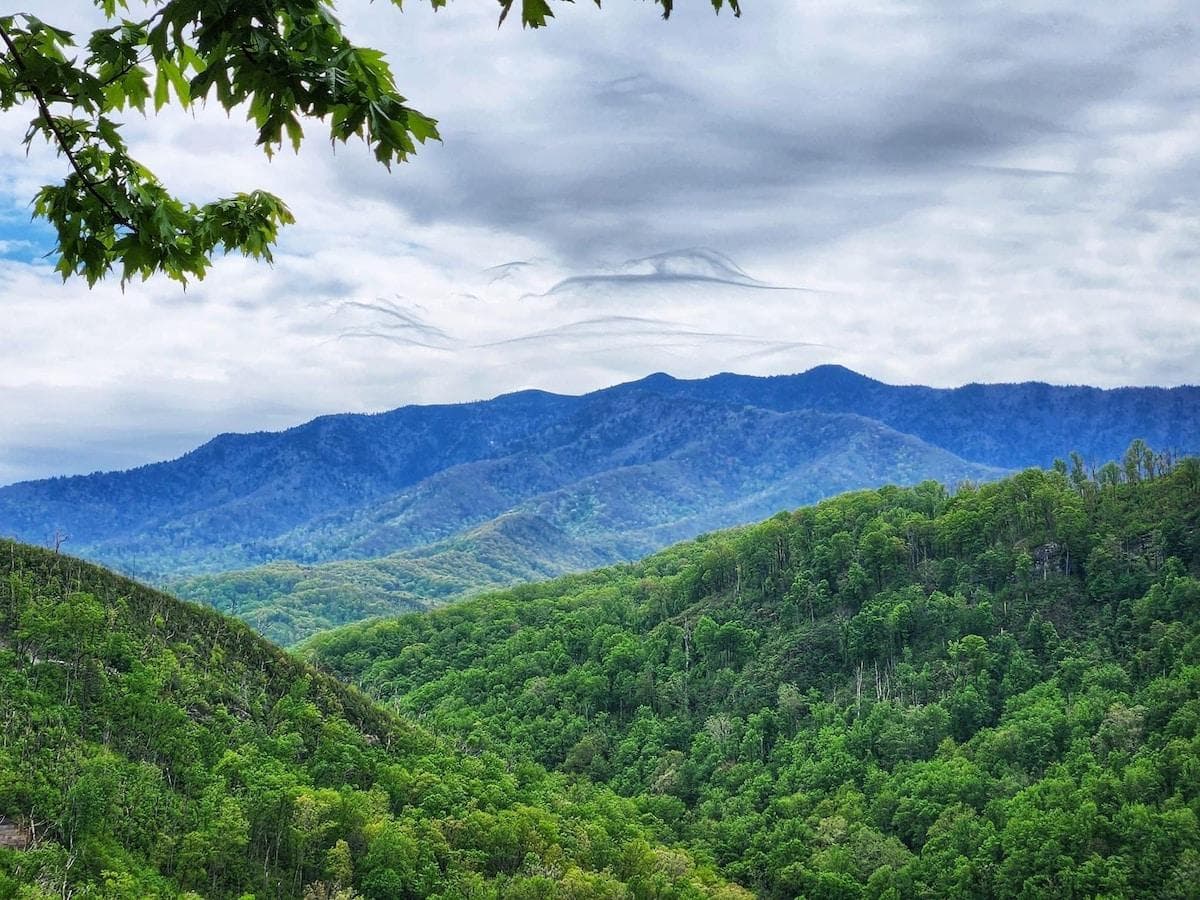 Deck view, main level.